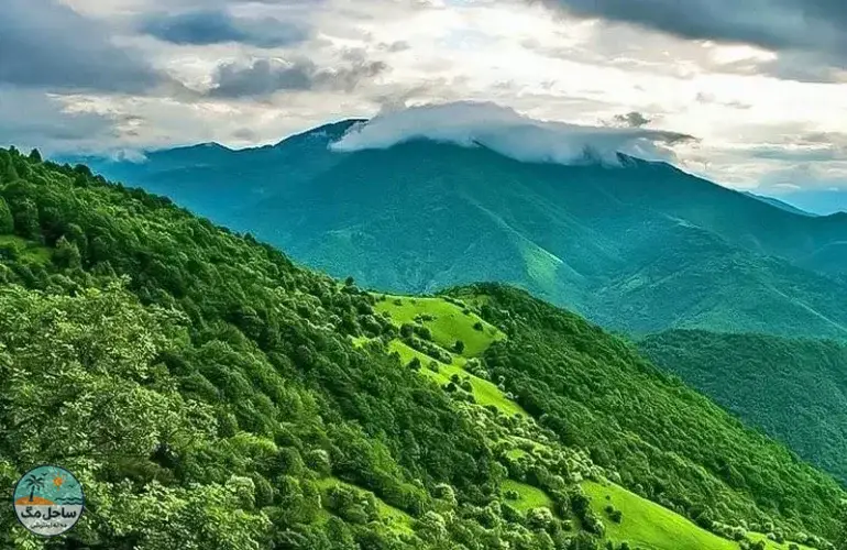 جنگل سیاهکل