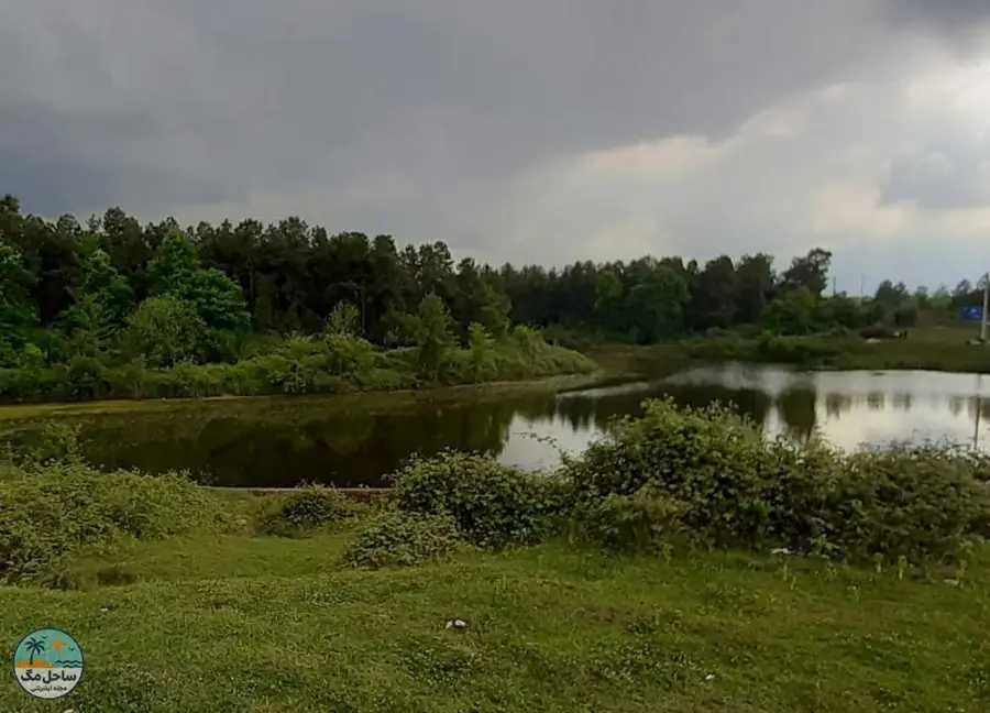 طبیعت سرسبز چشمه آب شور لاکان از جاهای خنک رشت در تابستان