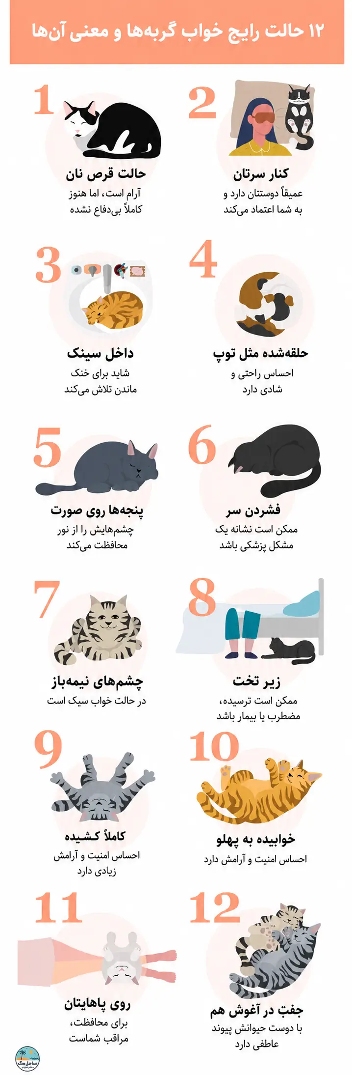 اینفوگرافیک حالت‌های خوابیدن گربه